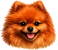 PSI